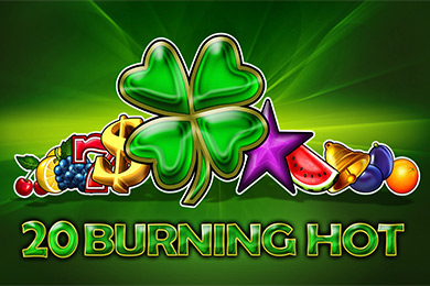 Egt Provide 20 Bh Волна Казино играть